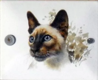 kočka 3